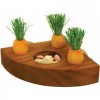 SUPPORTO GIOCO INTERATTIVO IN LEGNO CON CAROTINE 12X12cm
