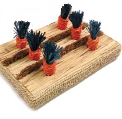 PIATTAFORMA CON 6 CAROTINE 25x15cm