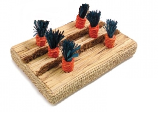 PIATTAFORMA CON 6 CAROTINE 25x15cm