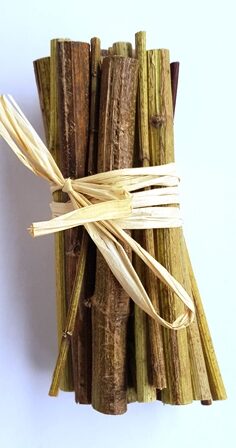 TRONCHETTI DI TOPINAMBUR  pz 10