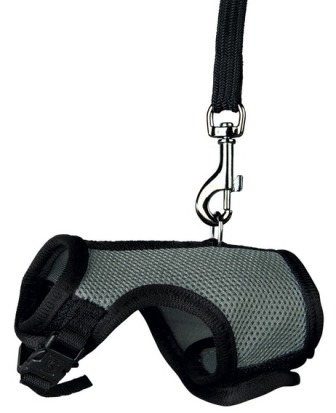 GUINZAGLIO E PETTORINA PER CONIGLI