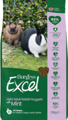 BURGESS RABBIT LIGHT 1