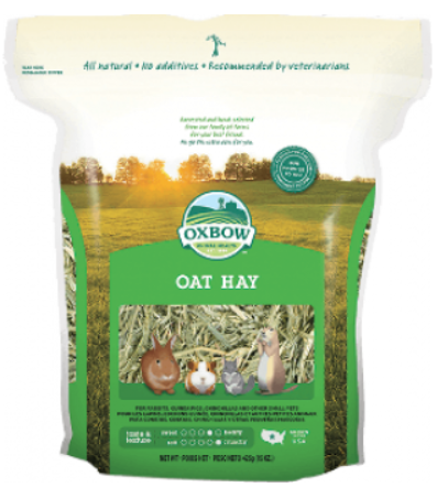 OXBOW OAT HAY 425 gr (avena)