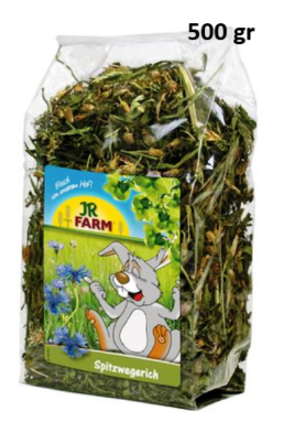 PIANTAGGINE SACCO GRANDE DA 500gr