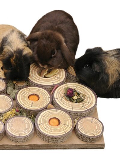 LABIRINTO MASTICABILE  INTERATTIVO 30X30cm