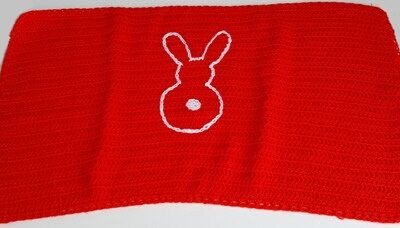 LA COPERTINA DI ZIA EMANUELA cm 50x30