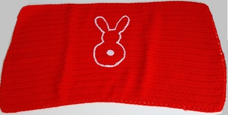 LA COPERTINA DI ZIA EMANUELA cm 50x30